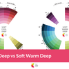 Soft Cool Deep vs Soft Warm Deep