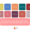 Why Pantone Color Forecasts Matter (And What They Actually Mean for You)
