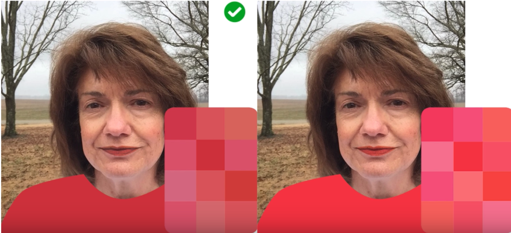 Color Analysis Case Study: Dark Brown Hair, Dark Brown Eyes
