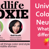 Universal Colors vs. Neutrals: What’s the Difference?