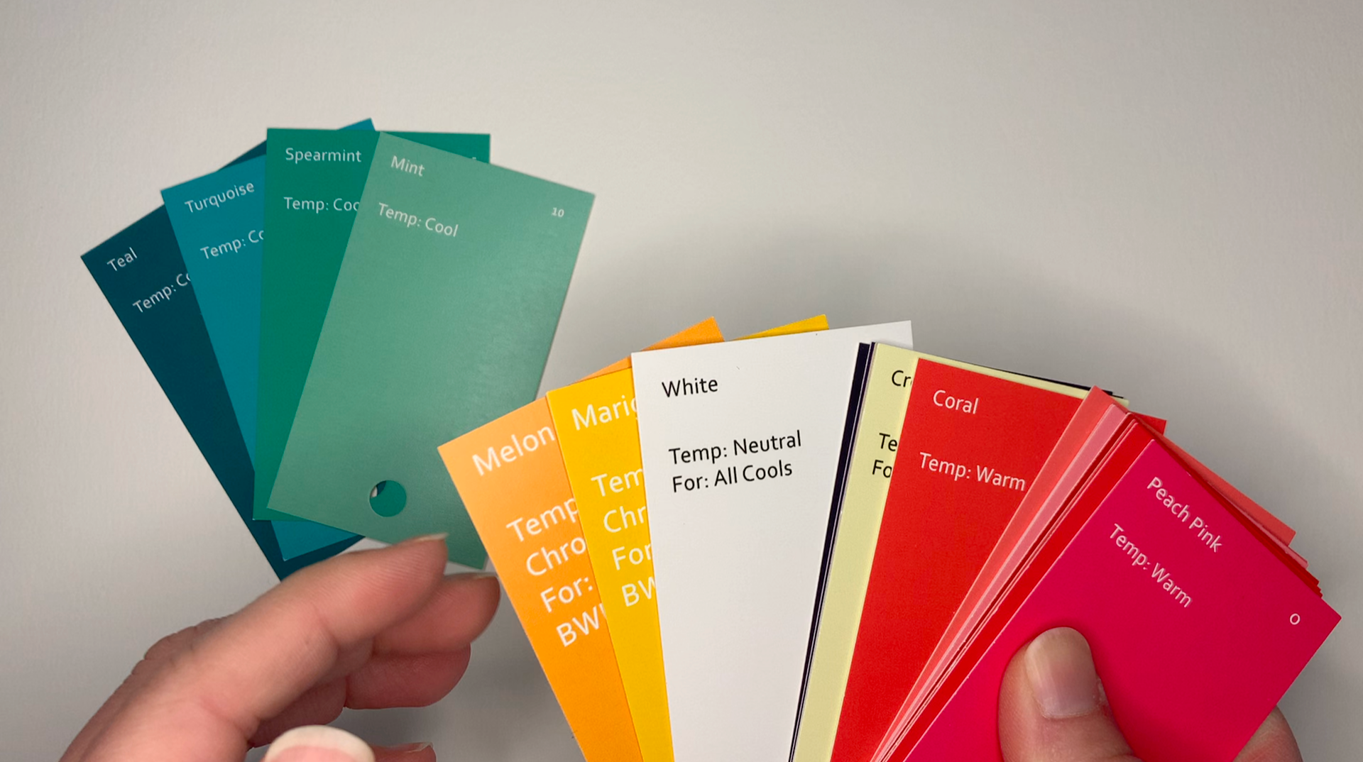 How to Customize Your Color Fan For Shopping