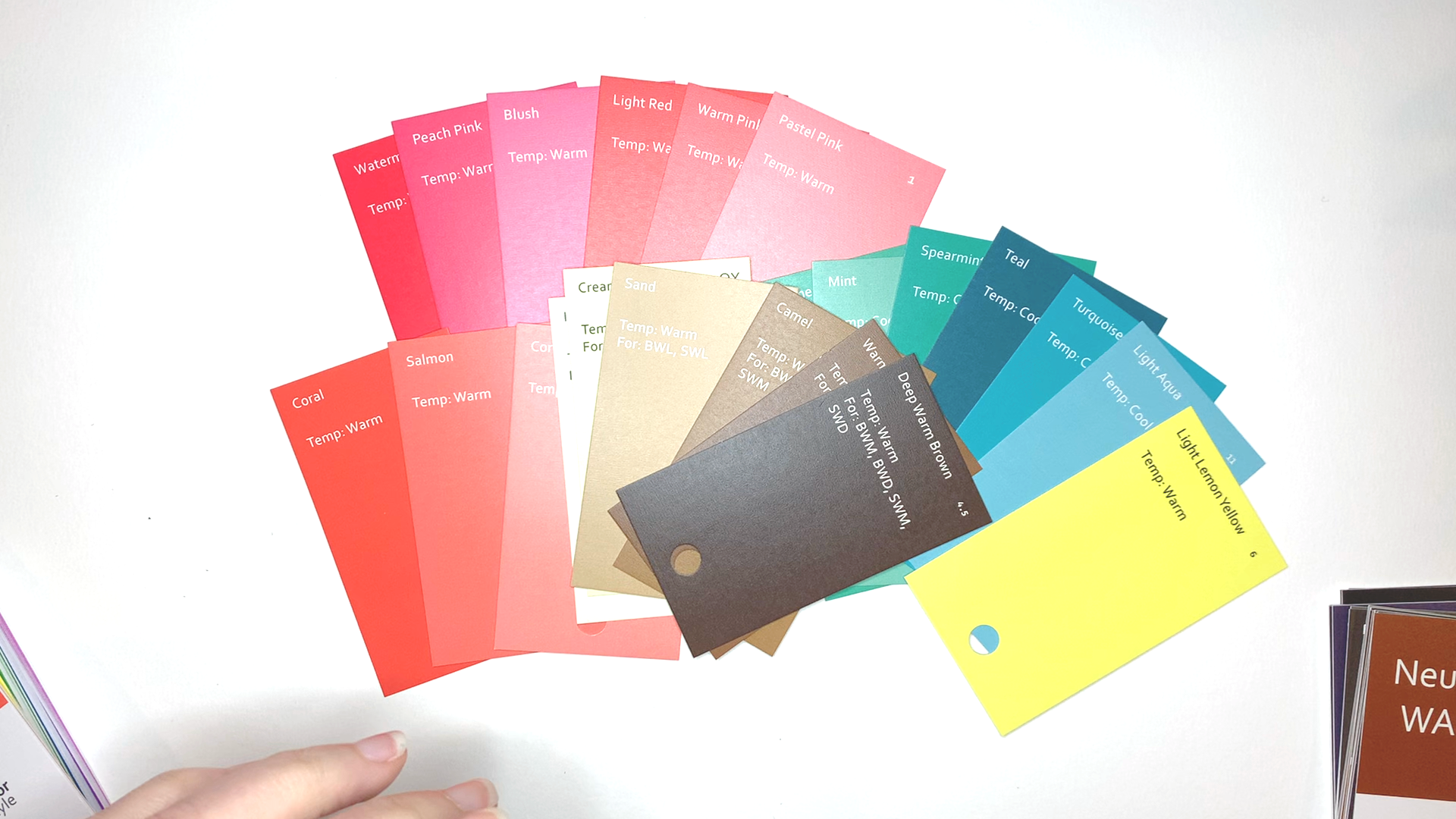 Your Signature Colors Color Fan
