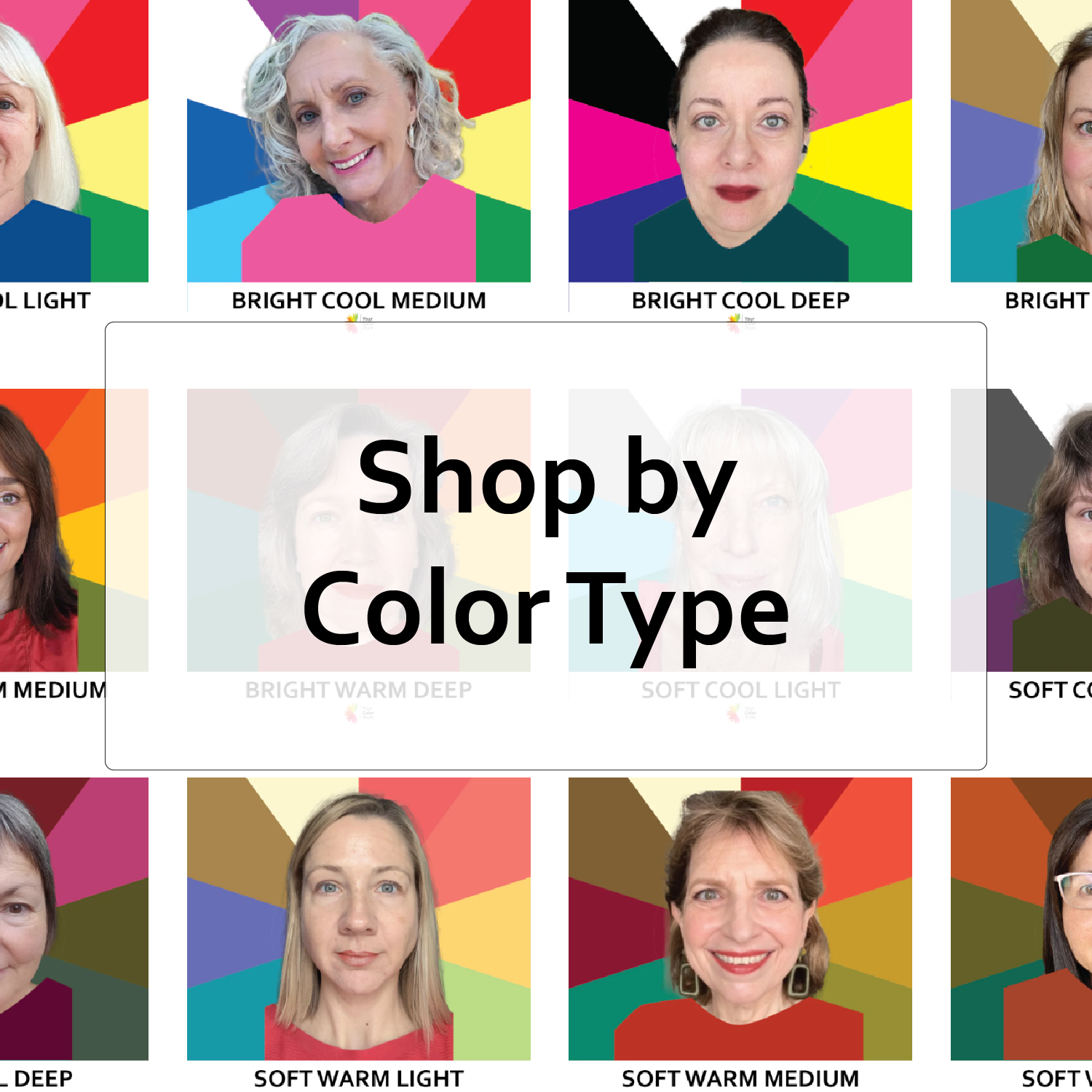 Shop by Color Type