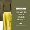 3 Ways To Wear Olive Branch