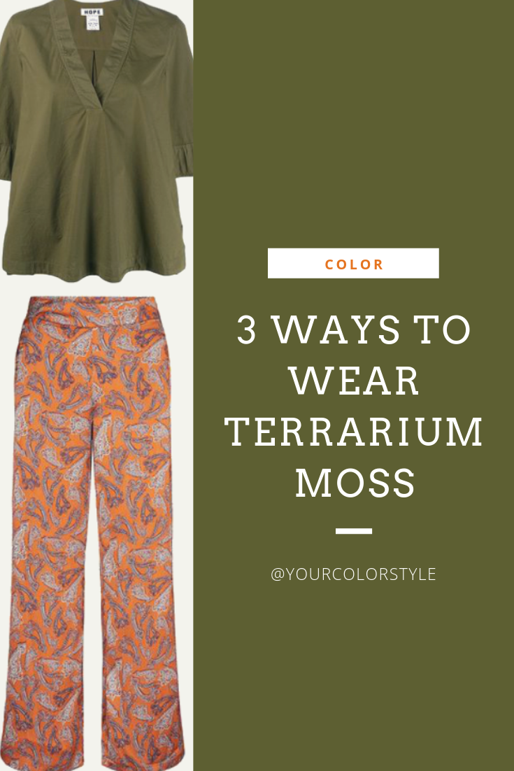 3 Ways To Wear Terrarium Moss
