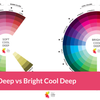 Bright Cool Deep vs Soft Cool Deep