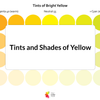 Tints and Shades of Yellow