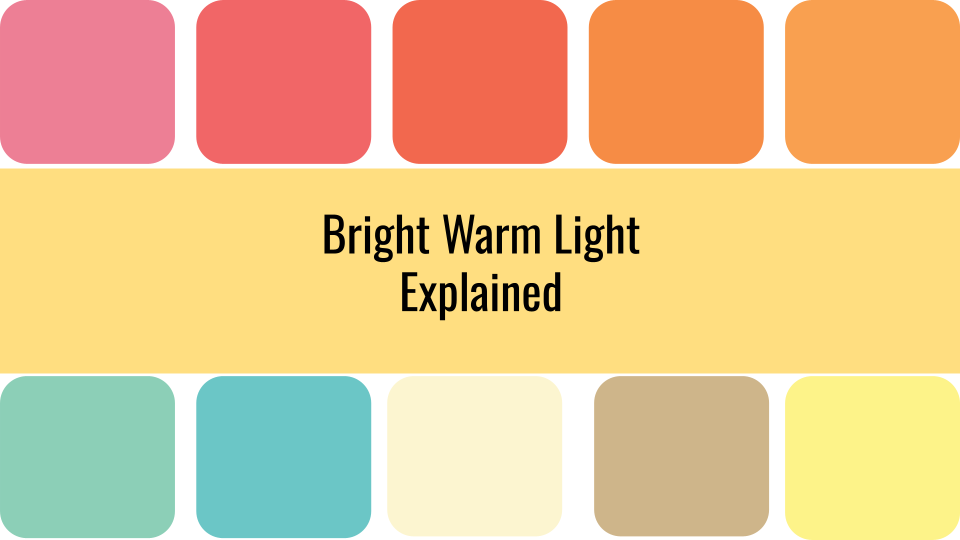 The Bright Warm Light Color Type and Color Palette Explained