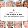 Step 3: COOL & DEEP - Color Analysis Quiz for Gray Hair