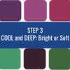 Color Analysis Quiz - Step 3: Cool and Deep - Bright or Soft