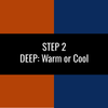 Step 2: Deep - Warm or Cool Undertones