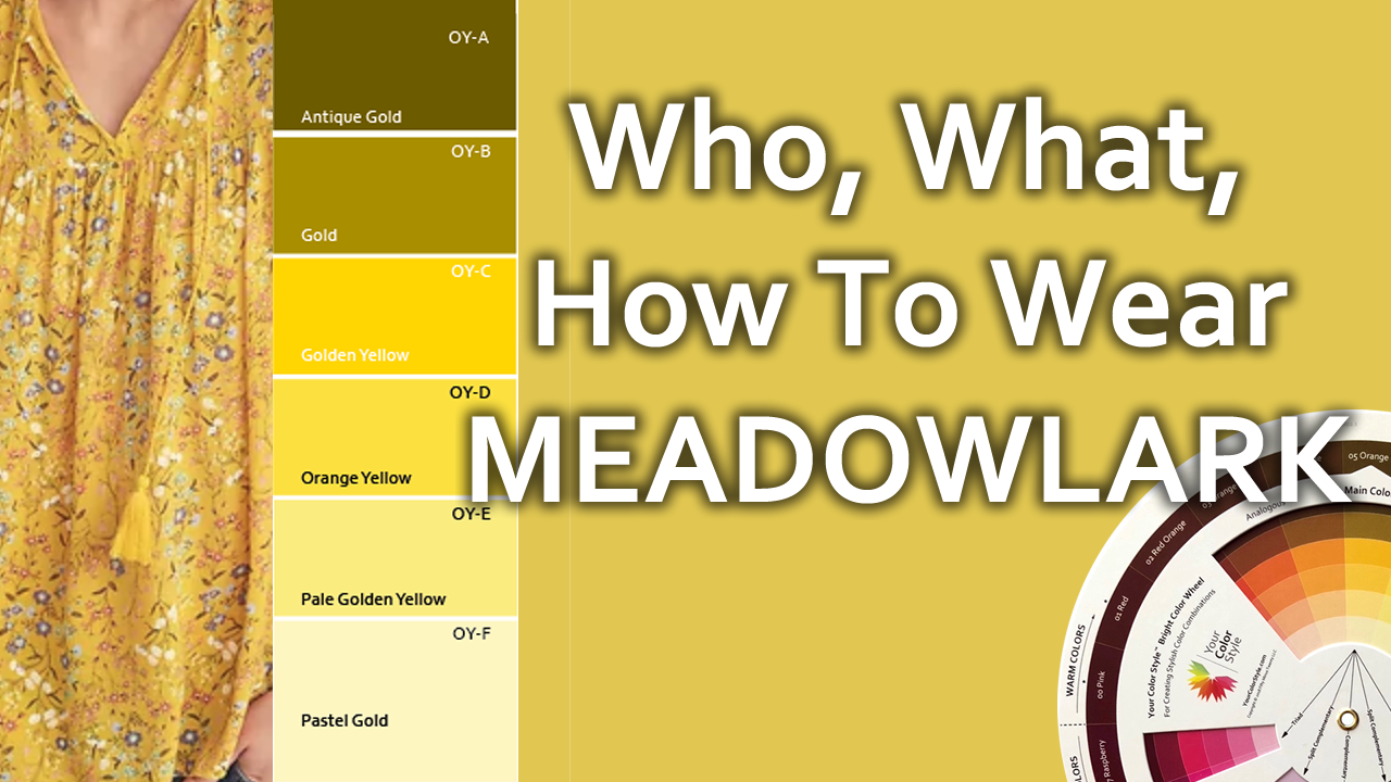 Meadowlark - What, Who, How To Wear