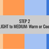 Step 2: Light to Medium - Warm or Cool?