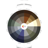 Neutrals Color Wheel