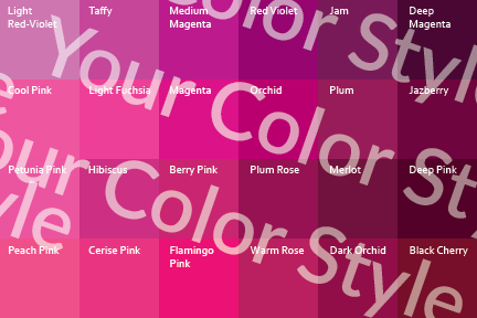 Bright Cool Deep Pinks - Color Palette Print