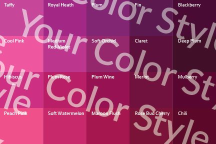 Soft Cool Deep Pinks - Color Palette Print