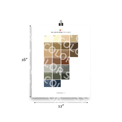 Bright Warm Light Color Palette - Neutrals