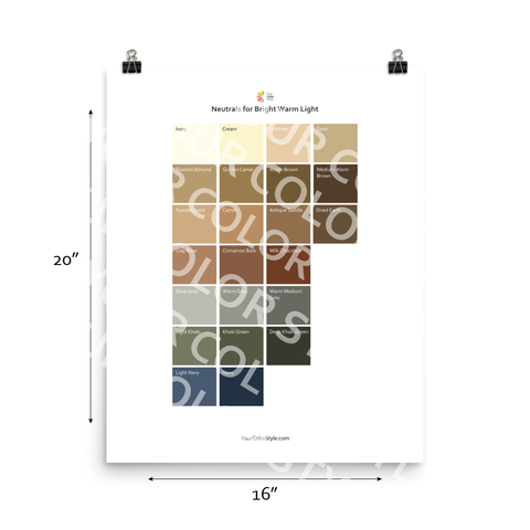 Bright Warm Light Color Palette - Neutrals