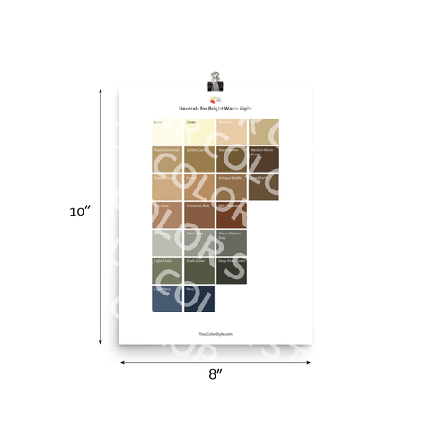 Bright Warm Light Color Palette - Neutrals