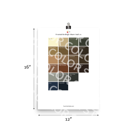Bright Warm Medium Color Palette - Neutrals