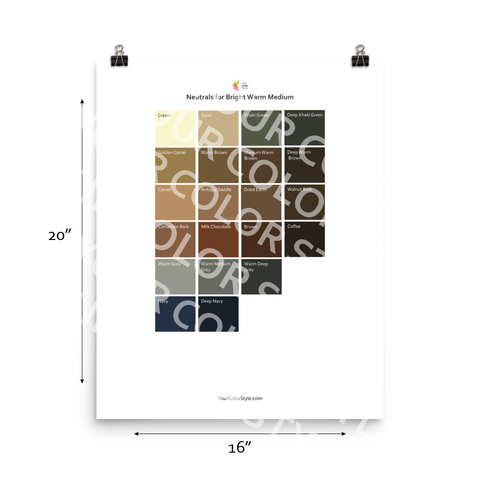 Bright Warm Medium Color Palette - Neutrals