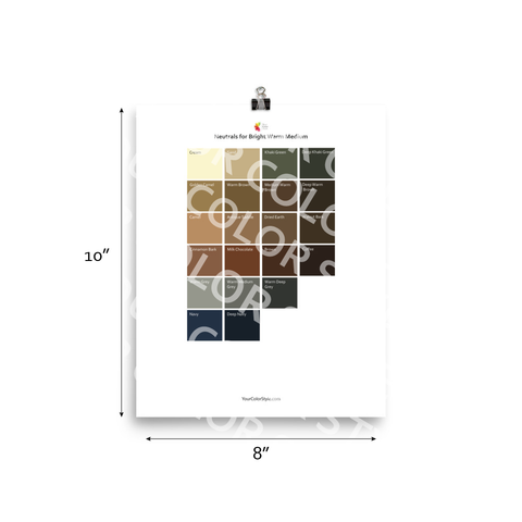 Bright Warm Medium Color Palette - Neutrals