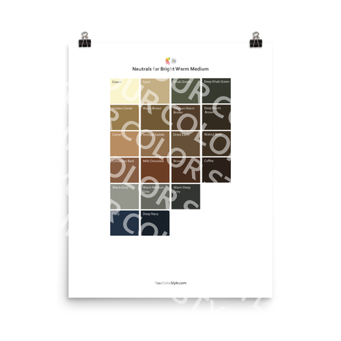 Bright Warm Medium Color Palette - Neutrals