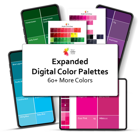 Digital Color Palettes