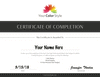Personal Color Consultant Certificate