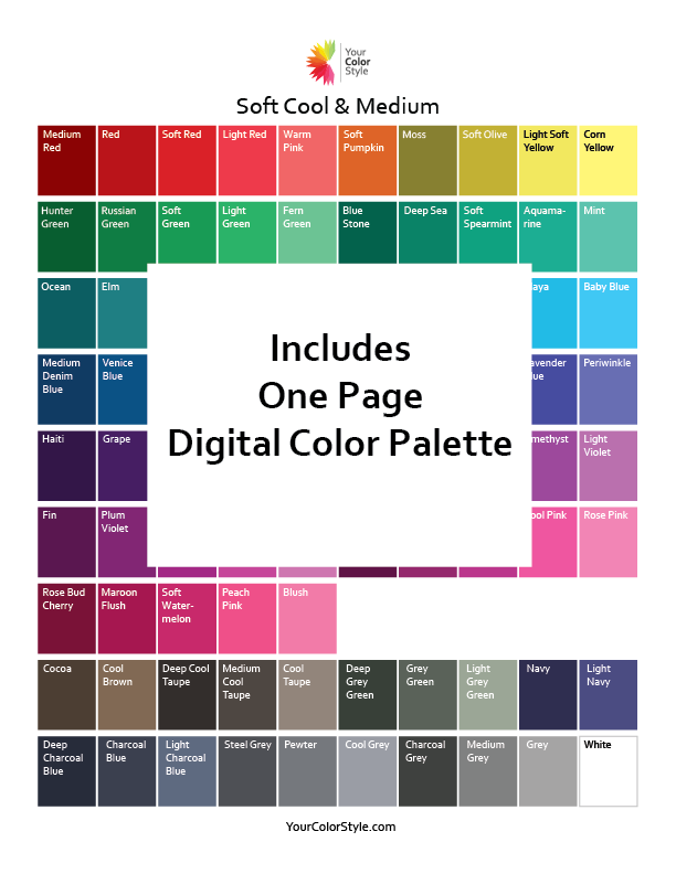 Soft Cool & Medium Color Guide