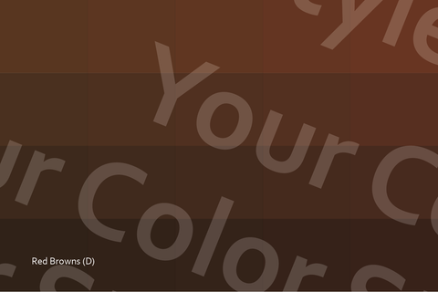 Deep Red Browns - Color Palette Postcard