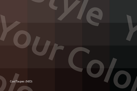 Dark Cool Taupes - Color Palette Postcard