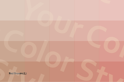 Light Red Browns - Color Palette Postcard