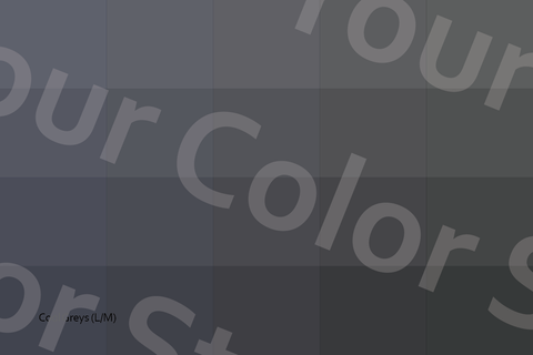 Light–Medium Cool Greys - Color Palette Postcard